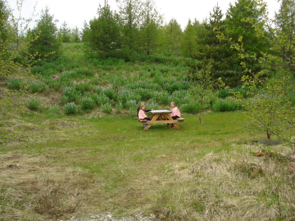 Vinland Camping Pods Egilsstaðir Pokój zdjęcie